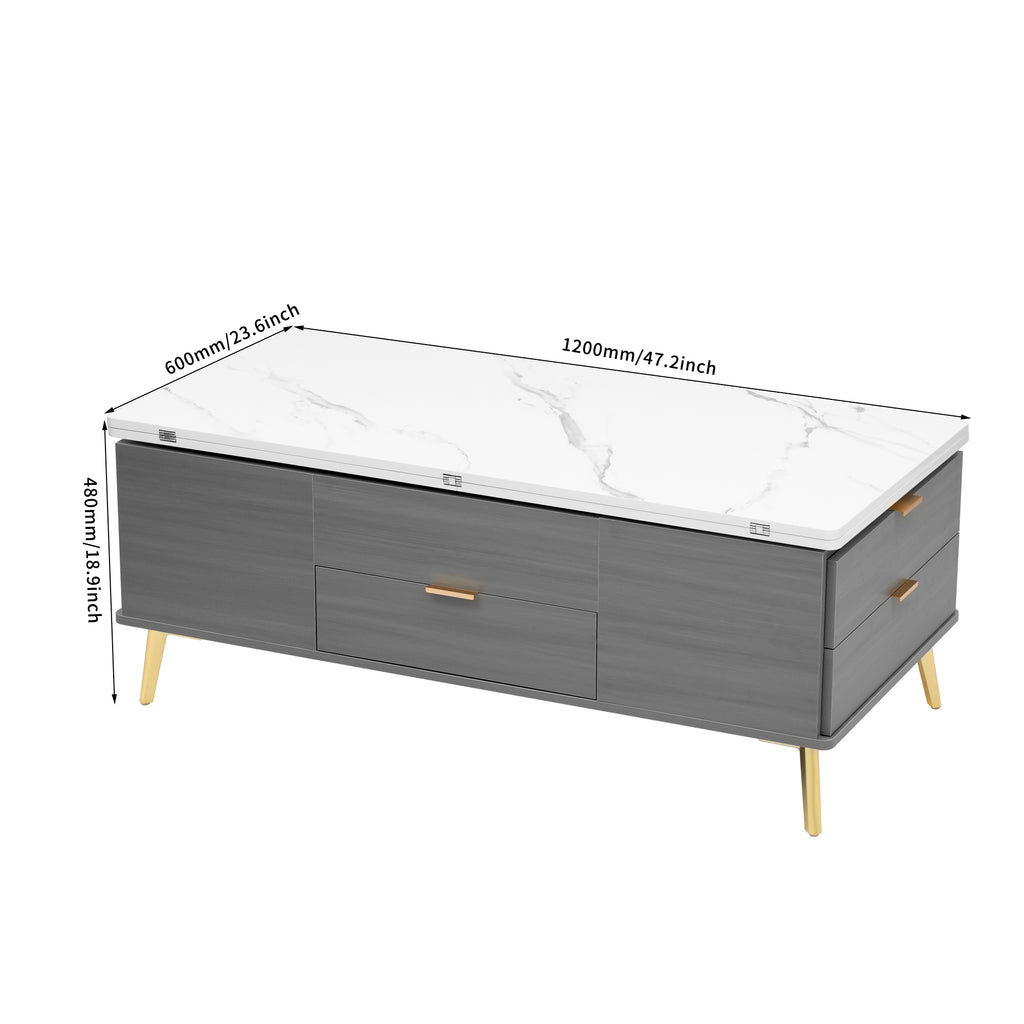 Modern Lift Top Coffee Table Multi Functional Table with Drawers in Gray &amp; White