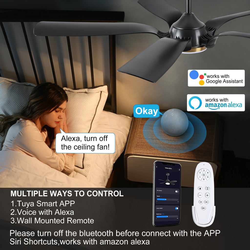 Smart 56" Integrated LED Ceiling Fan with  Antique Black Blades in Matte Black Fan Body Finish