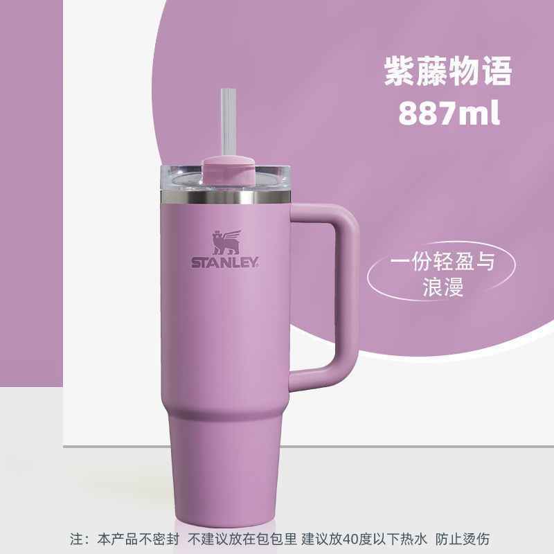 1L Stainless Steel Straw Cup — Large Capacity Iced Drink Tumbler with Transparent Lid | 6 Colors