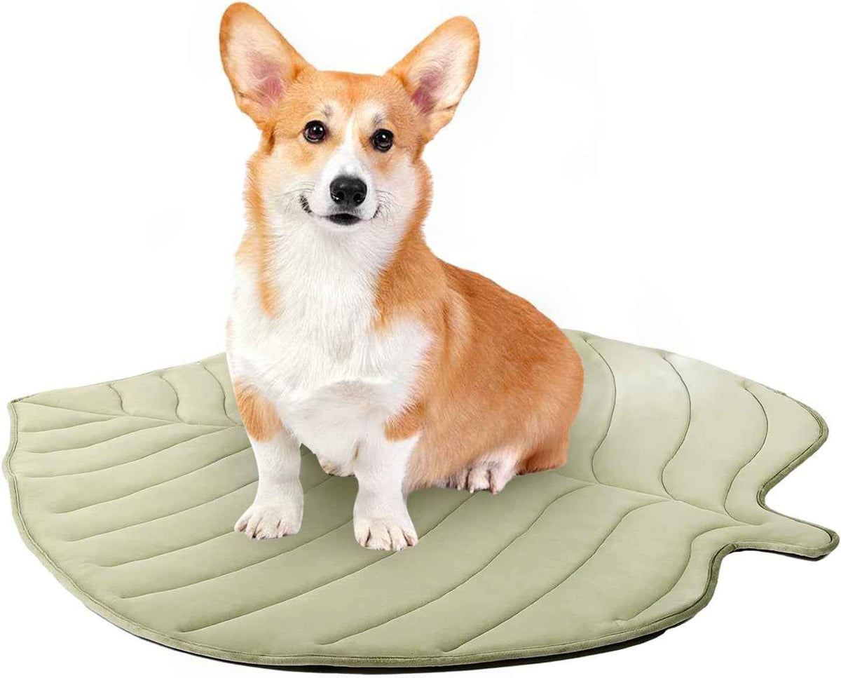 Ginkgo Leaf Pet Cooling Mat — Summer Ice Pad Floor Mat for Cats & Dogs
