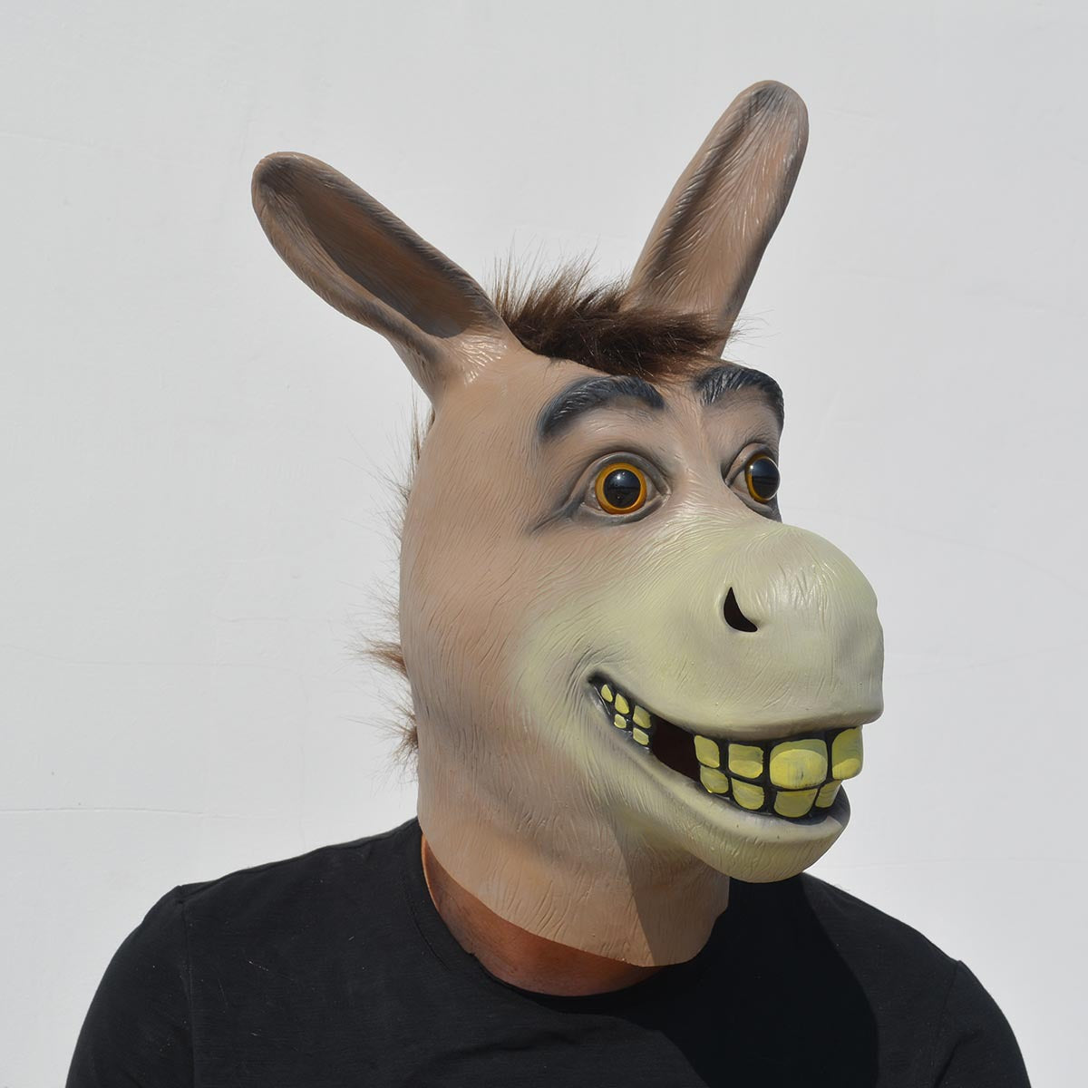 4890197894614